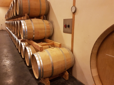 Remise en conformité de chai viticole à Villenave D’ornon, Château Baret (33)